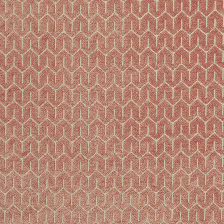 Petite Peony 588 by P Kaufmann Fabrics Fabric