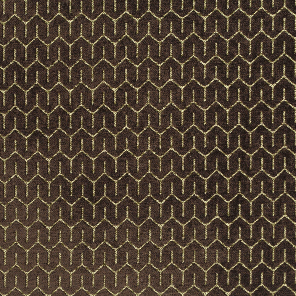 Petite Espresso 804 by P Kaufmann Fabrics Fabric