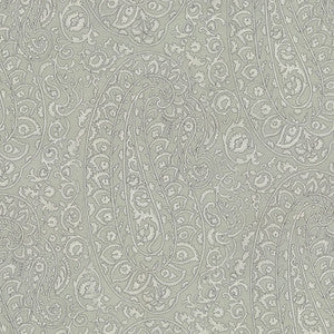 Fantasia Paisley Whisper by RM CoCo Fabric