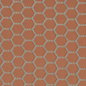 Honey Do Melon by RM CoCo Fabric