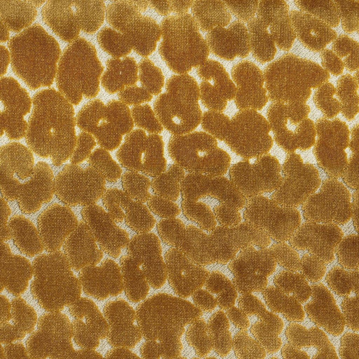 Roar Goldenrod by RM CoCo Fabric Gemstones II Imperial Topaz to Tibetan Coral 60% Rayon 40% Polyester See Sample 37000 Horizontal: 14 and Vertical: 14.25 58 - Fabric Carolina -