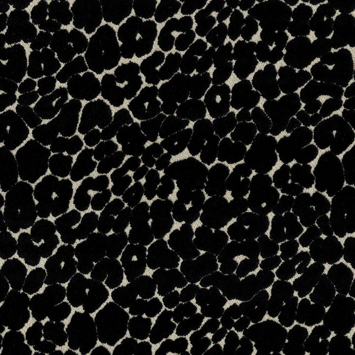 Roar Onyx by RM CoCo Fabric Gemstones II Tahitian Gray Pearl to Onyx 60% Rayon 40% Polyester See Sample 37000 Horizontal: 14 and Vertical: 14.25 58 - Fabric Carolina -