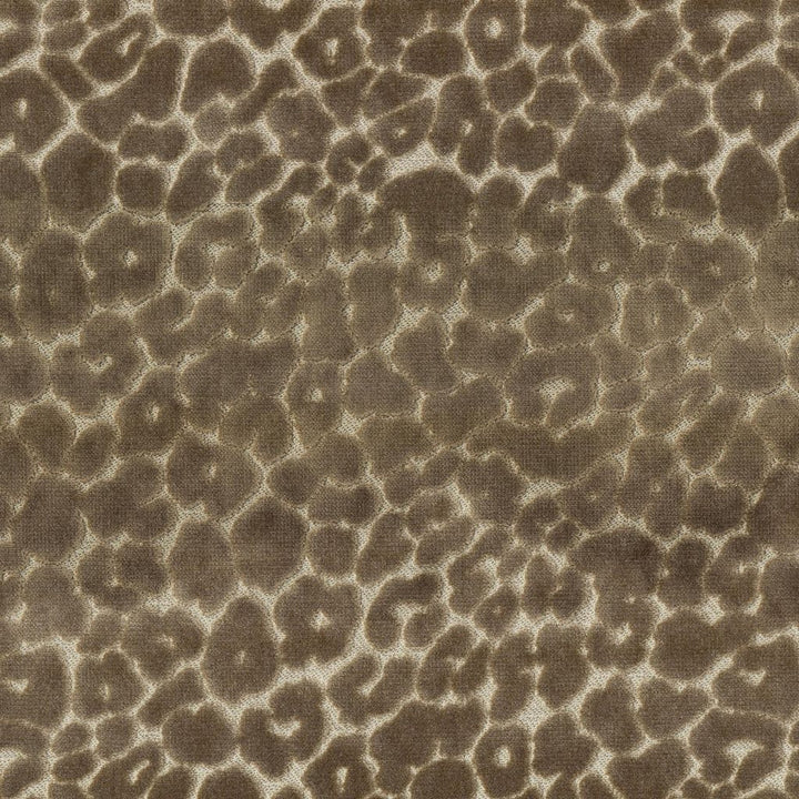 Roar Toffee by RM CoCo Fabric Gemstones II Tahitian Gray Pearl to Onyx 60% Rayon 40% Polyester See Sample 37000 Horizontal: 14 and Vertical: 14.25 58 - Fabric Carolina -