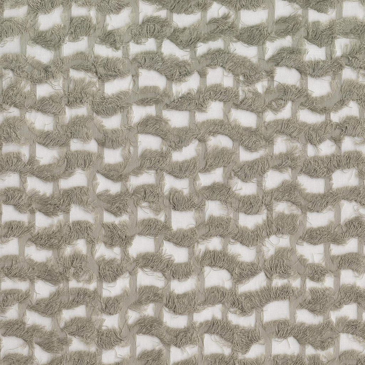 Eyelash Sheer Fog by RM CoCo Fabric Gemstones II White Sapphire to Gray Moonstone 65% Cotton 35% Polyester See Sample 0 Horizontal: 1.58 and Vertical: 1.58 55 - Fabric Carolina -