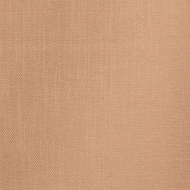 Smart Move Beige by RM CoCo Fabric Smart Move II 100% Polyester See Sample 50000 Horizontal: 00 55  - Fabric Carolina -
