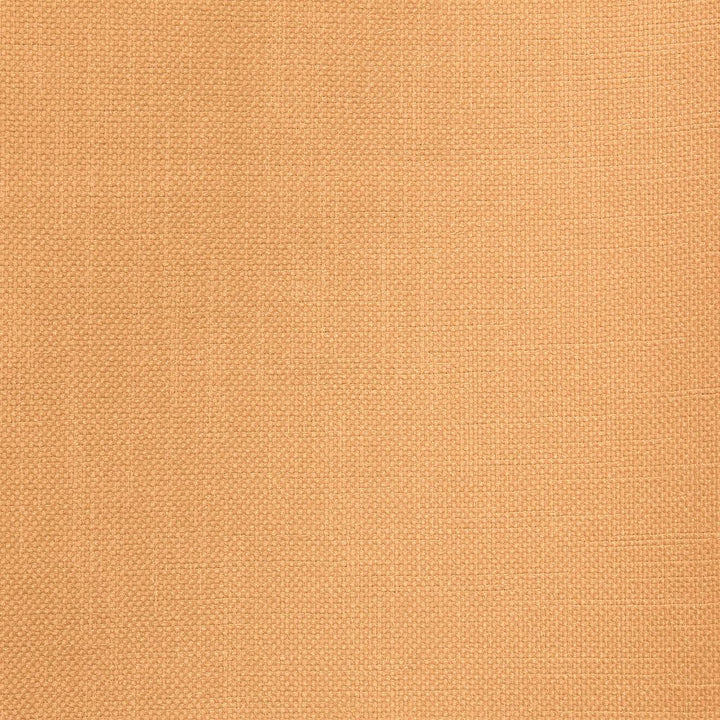 Smart Move Butter by RM CoCo Fabric Smart Move II 100% Polyester See Sample 50000 Horizontal: 0 and Vertical: 0 55 - Fabric Carolina -