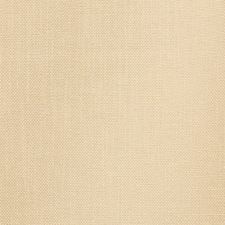 Smart Move Dove by RM CoCo Fabric