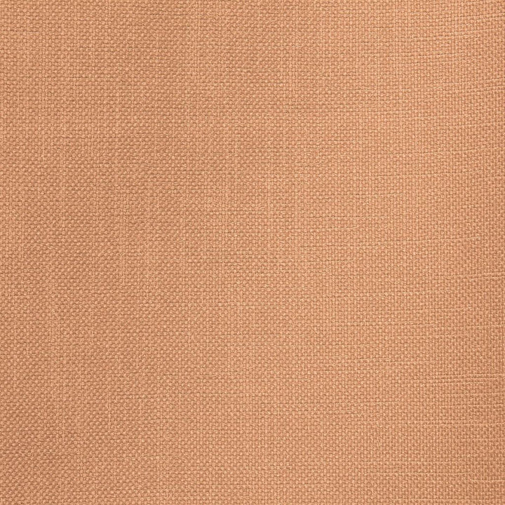 Smart Move Latte by RM CoCo Fabric Smart Move II 100% Polyester See Sample 50000 Horizontal: 00 55  - Fabric Carolina -