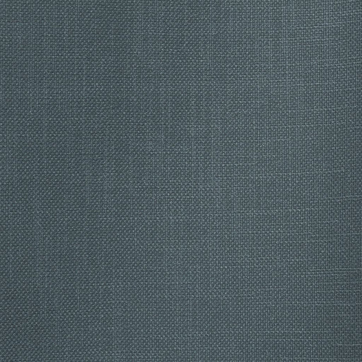 Smart Move Lake by RM CoCo Fabric Smart Move III 100% Polyester See Sample 50000 Horizontal: 0 and Vertical: 0 55 - Fabric Carolina -