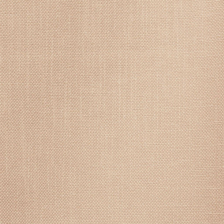 Smart Move Mica by RM CoCo Fabric Smart Move III 100% Polyester See Sample 50000 Horizontal: 0 and Vertical: 0 55 - Fabric Carolina -