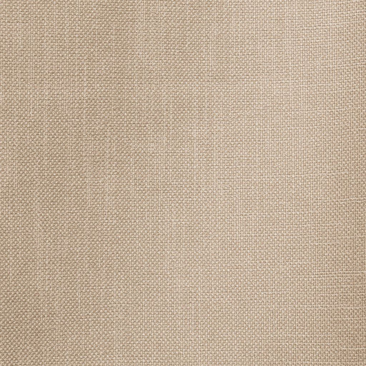 Smart Move Metallic by RM CoCo Fabric