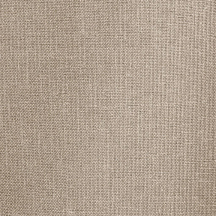 Smart Move Silver by RM CoCo Fabric Smart Move II 100% Polyester See Sample 50000 Horizontal: 0 and Vertical: 0 55 - Fabric Carolina -