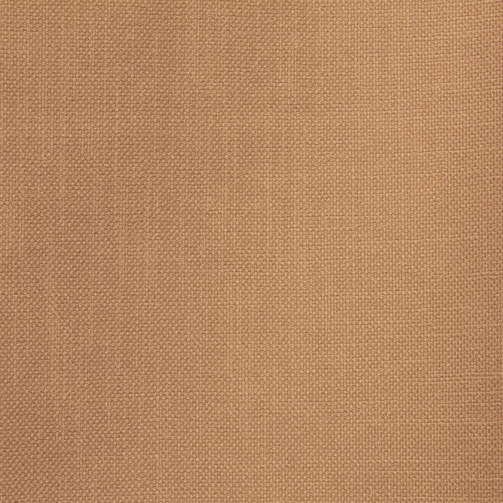 Smart Move Cashew by RM CoCo Fabric Smart Move II 100% Polyester See Sample 50000 Horizontal: 00 55  - Fabric Carolina -