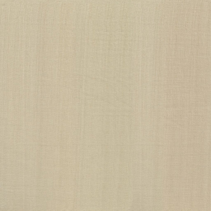 Gallway Driftwood by RM CoCo Fabric Ports O' Call 100% Polyester See Sample 0 Horizontal: 0 and Vertical: 0 116 - Fabric Carolina -