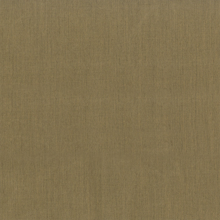 SolarShade Beige by Solarshade Fabric SolarShade 100% Solution Dyed Polyester 225,000 Double Rubs (Wyzenbeek) </p><p>Repeat: Horizontal: - and Vertical: - 60 in. (152 cm) - Fabric Carolina -