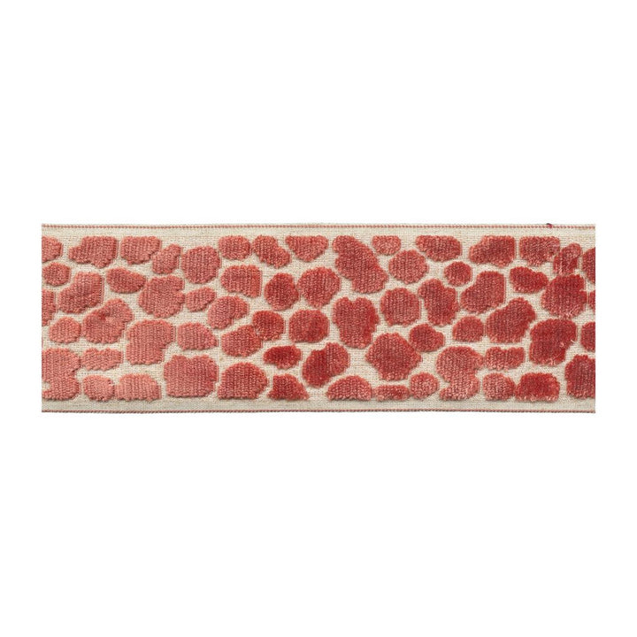 BD135 Border 3.5" Mimosa by RM CoCo Trim Creative Threads VII 58% Rayon 31% Polyester 11% Linen See Sample 0 Horizontal: 3.5 and Vertical: 7.5 3.5 - Fabric Carolina -