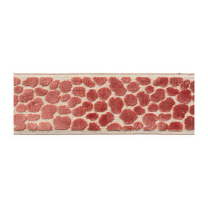 BD135 Border 3.5" Mimosa by RM CoCo Trim