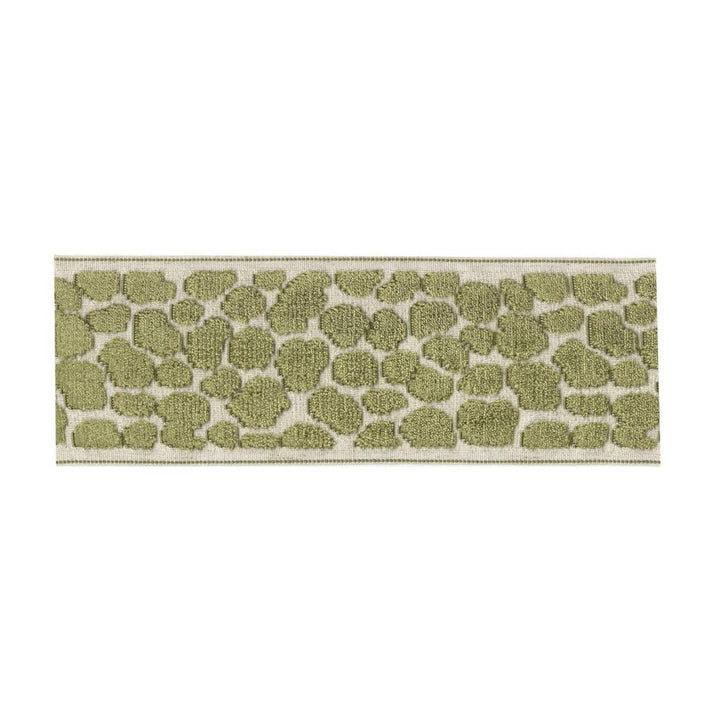 BD135 Border 3.5" Lemon Grass by RM CoCo Trim Creative Threads VII 58% Rayon 31% Polyester 11% Linen See Sample 0 Horizontal: 3.5 and Vertical: 7.5 3.5 - Fabric Carolina -