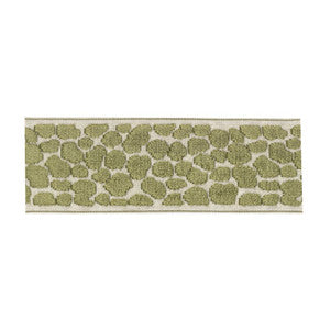 BD135 Border 3.5" Lemon Grass by RM CoCo Trim