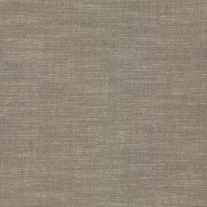 Highland Tweed Sterling by RM CoCo Fabric Highland Tweed 100% Polyester See Sample 20000 Horizontal: 0 and Vertical: 0 55 - Fabric Carolina -