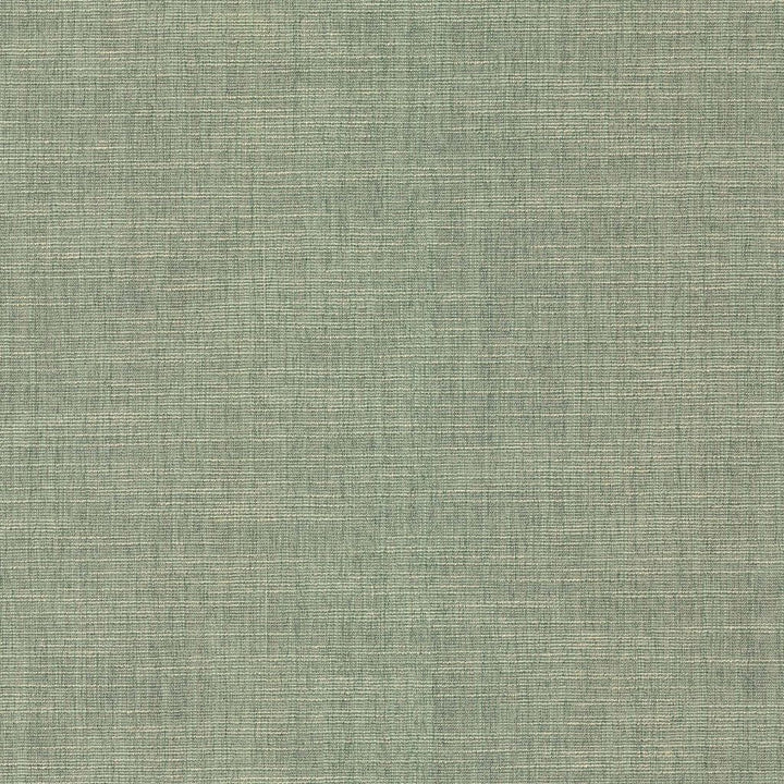 Highland Tweed Silver Sage by RM CoCo Fabric Highland Tweed 100% Polyester See Sample 20000 Horizontal: 0 and Vertical: 0 55 - Fabric Carolina -