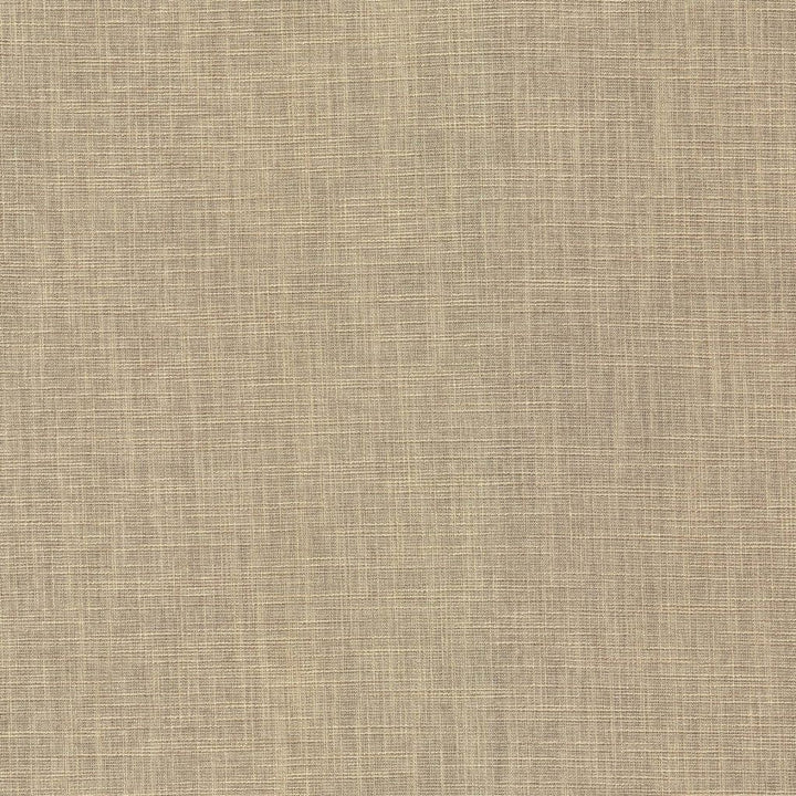 Highland Tweed Travertine by RM CoCo Fabric Highland Tweed 100% Polyester See Sample 20000 Horizontal: 0 and Vertical: 0 55 - Fabric Carolina -