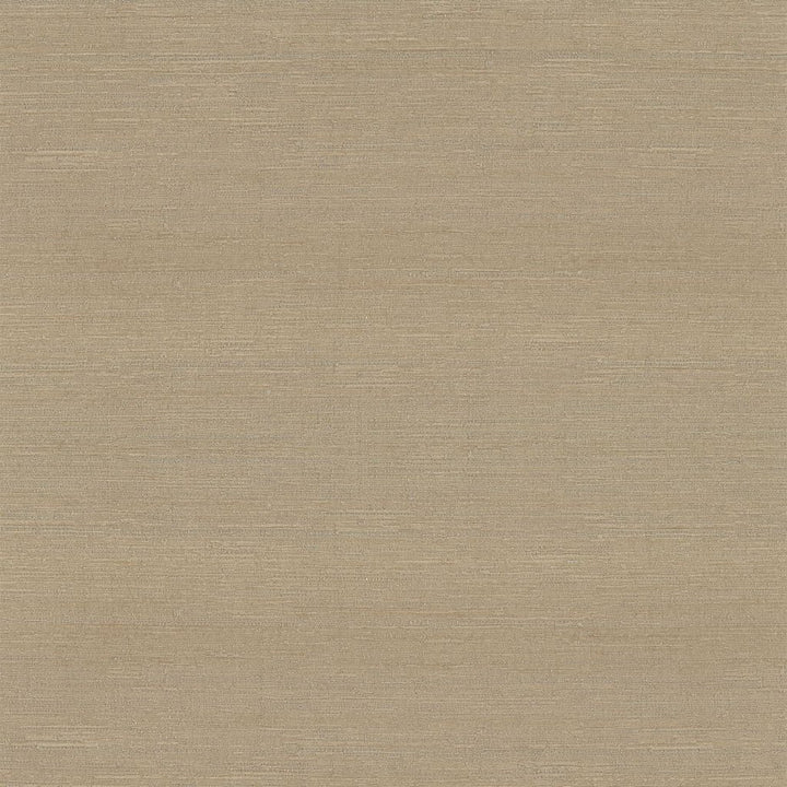 Belgique Driftwood by RM CoCo Fabric Belgique 100% Polyester See Sample 20000 Horizontal: 0 and Vertical: 0 55 - Fabric Carolina -