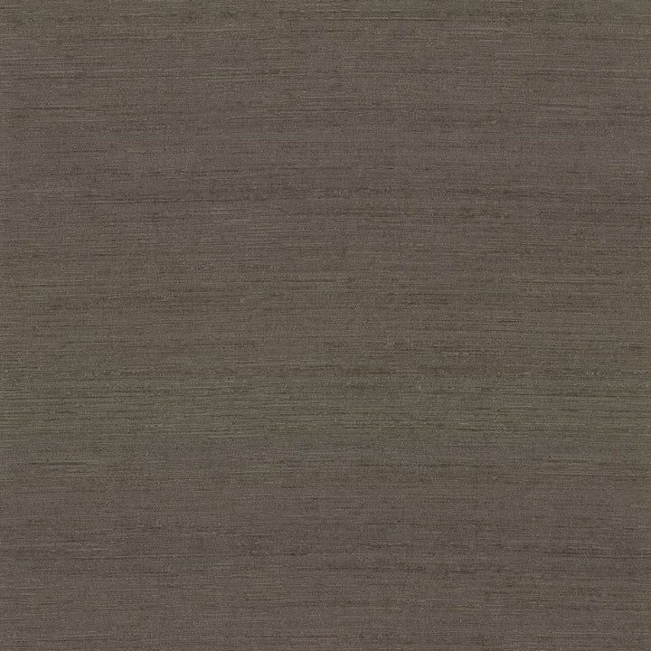 Belgique Graphite by RM CoCo Fabric Belgique 100% Polyester See Sample 20000 Horizontal: 0 and Vertical: 0 55 - Fabric Carolina -