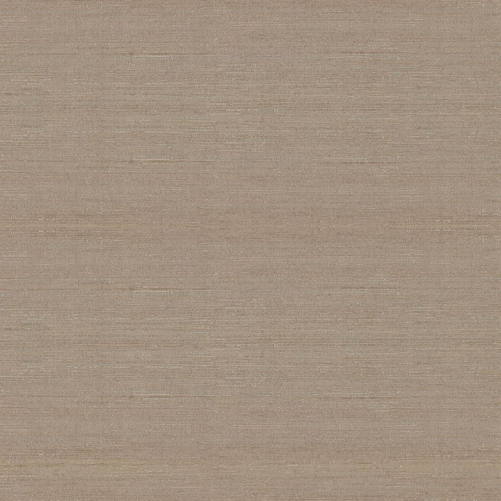 Belgique Latte by RM CoCo Fabric Belgique 100% Polyester See Sample 20000 Horizontal: 0 and Vertical: 0 55 - Fabric Carolina -
