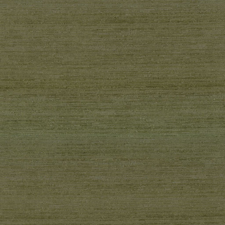 Belgique Olive by RM CoCo Fabric Belgique 100% Polyester See Sample 20000 Horizontal: 0 and Vertical: 0 55 - Fabric Carolina -