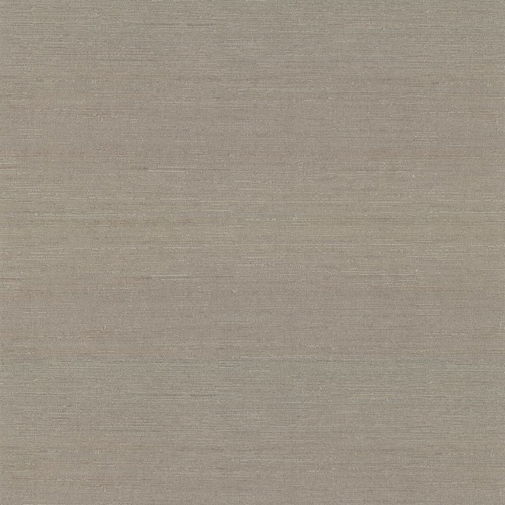 Belgique Pewter by RM CoCo Fabric Belgique 100% Polyester See Sample 20000 Horizontal: 0 and Vertical: 0 55 - Fabric Carolina -
