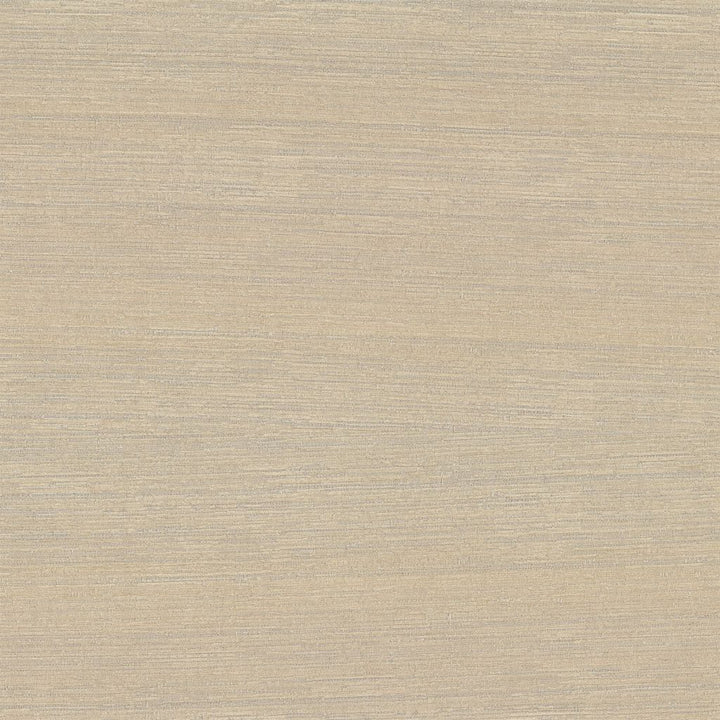 Belgique Sandstone by RM CoCo Fabric Belgique 100% Polyester See Sample 20000 Horizontal: 0 and Vertical: 0 55 - Fabric Carolina -