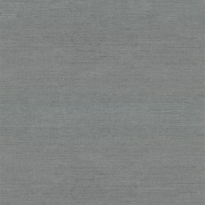 Belgique Slate by RM CoCo Fabric Belgique 100% Polyester See Sample 20000 Horizontal: 0 and Vertical: 0 55 - Fabric Carolina -