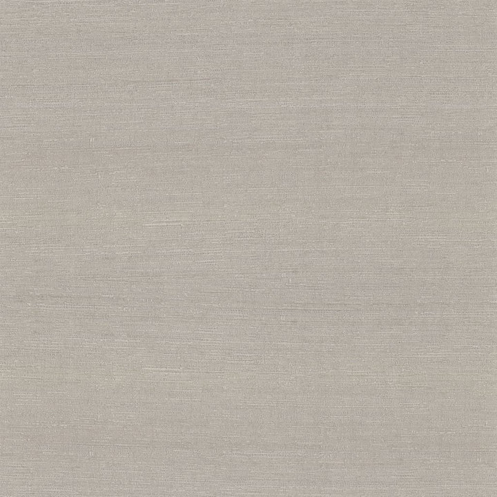Belgique Sterling by RM CoCo Fabric Belgique 100% Polyester See Sample 20000 Horizontal: 0 and Vertical: 0 55 - Fabric Carolina -