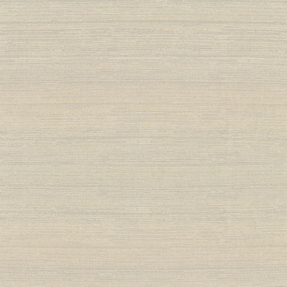 Belgique Travertine by RM CoCo Fabric Belgique 100% Polyester See Sample 20000 Horizontal: 0 and Vertical: 0 55 - Fabric Carolina -