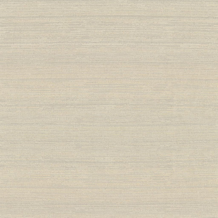 Belgique Travertine by RM CoCo Fabric Belgique 100% Polyester See Sample 20000 Horizontal: 0 and Vertical: 0 55 - Fabric Carolina -