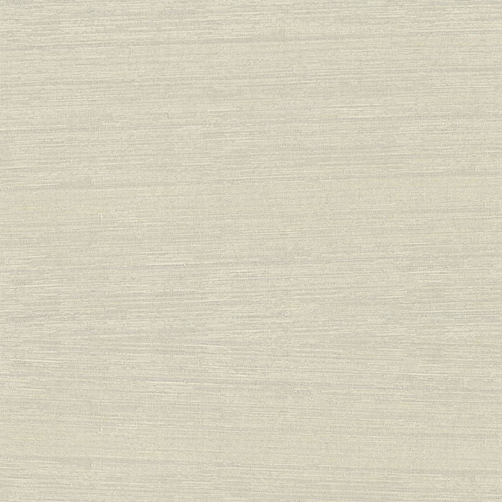 Belgique Whisper by RM CoCo Fabric Belgique 100% Polyester See Sample 20000 Horizontal: 0 and Vertical: 0 55 - Fabric Carolina -
