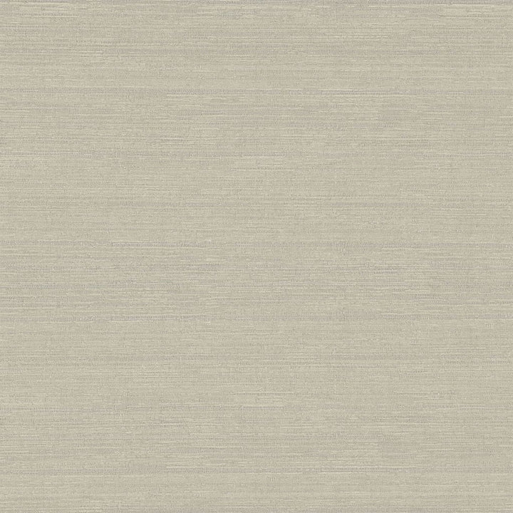 Belgique Alabaster by RM CoCo Fabric Belgique 100% Polyester See Sample 20000 Horizontal: 0 and Vertical: 0 55 - Fabric Carolina -