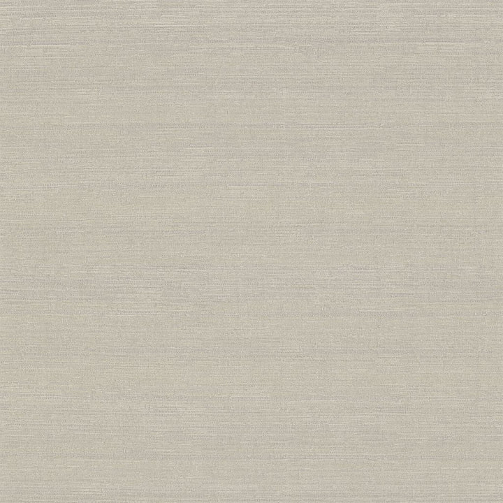 Belgique Aspen by RM CoCo Fabric Belgique 100% Polyester See Sample 20000 Horizontal: 0 and Vertical: 0 55 - Fabric Carolina -