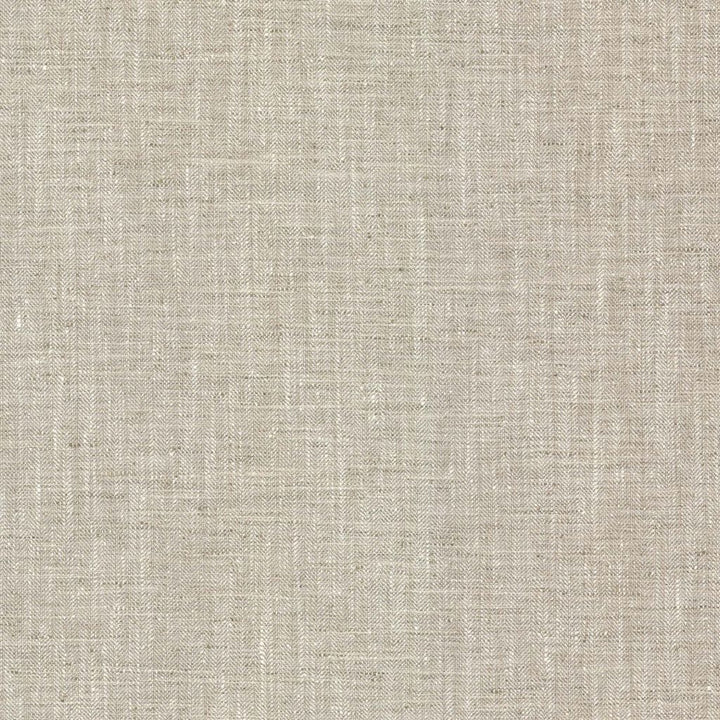 Hooper Mist by RM CoCo Fabric Bespoke Collection 100% Polyester See Sample 51000 Horizontal: 0 and Vertical: 0 54 - Fabric Carolina -