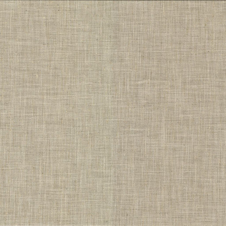Hooper Parchment by RM CoCo Fabric Bespoke Collection 100% Polyester See Sample 51000 Horizontal: 0 and Vertical: 0 54 - Fabric Carolina -
