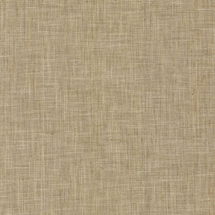 Hooper Sisal by RM CoCo Fabric Bespoke Collection 100% Polyester See Sample 51000 Horizontal: 0 and Vertical: 0 54 - Fabric Carolina -