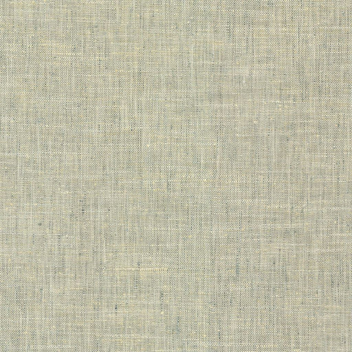 Longchamp Celadon by RM CoCo Fabric Bespoke Collection 100% Polyester See Sample 51000 Horizontal: 0 and Vertical: 0 54 - Fabric Carolina -