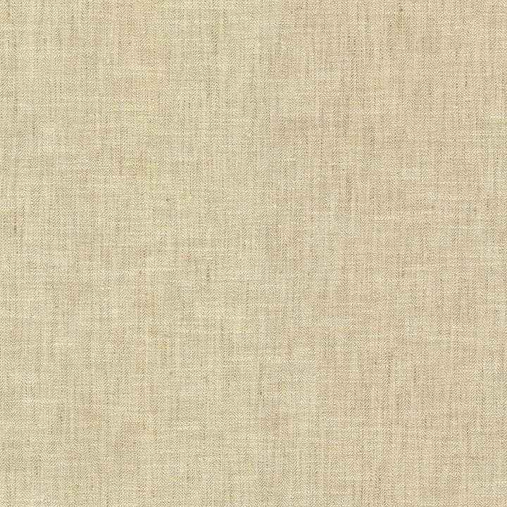 Hooper Alabaster by RM CoCo Fabric Bespoke Collection 100% Polyester See Sample 51000 Horizontal: 0 and Vertical: 0 54 - Fabric Carolina -