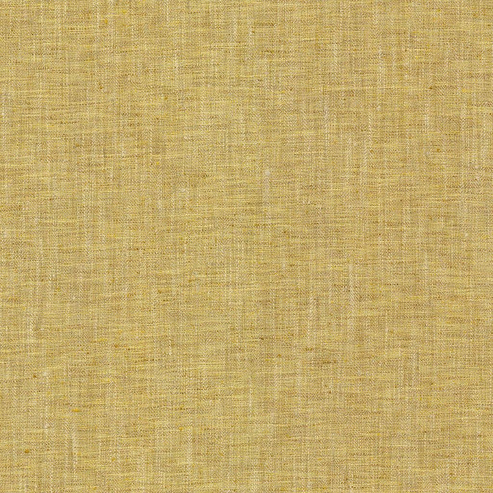 Hooper Dijon by RM CoCo Fabric Bespoke Collection 100% Polyester See Sample 51000 Horizontal: 0 and Vertical: 0 54 - Fabric Carolina -