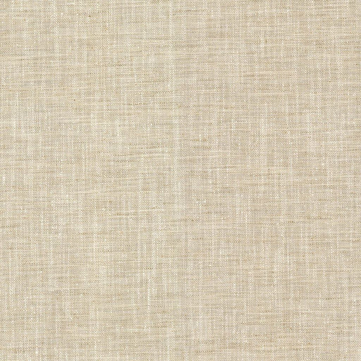Hooper Ivory by RM CoCo Fabric Bespoke Collection 100% Polyester See Sample 51000 Horizontal: 0 and Vertical: 0 54 - Fabric Carolina -