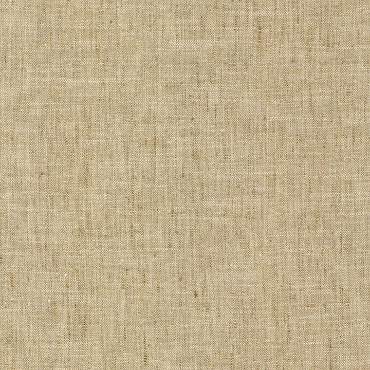 Hooper Latte by RM CoCo Fabric Bespoke Collection 100% Polyester See Sample 51000 Horizontal: 0 and Vertical: 0 54 - Fabric Carolina -