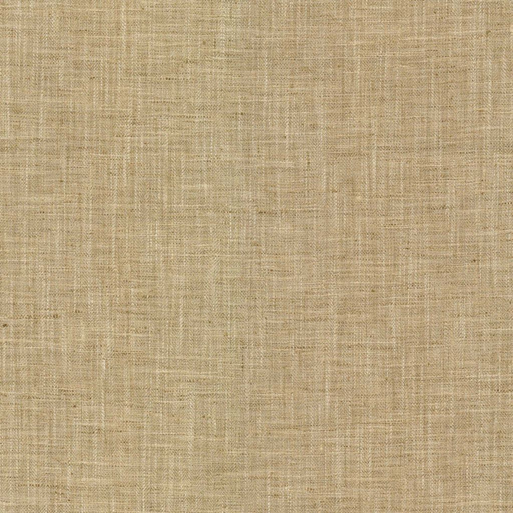 Hooper Hazelnut by RM CoCo Fabric Bespoke Collection 100% Polyester See Sample 51000 Horizontal: 0 and Vertical: 0 54 - Fabric Carolina -