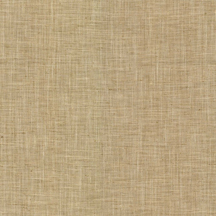 Hooper Hazelnut by RM CoCo Fabric Bespoke Collection 100% Polyester See Sample 51000 Horizontal: 0 and Vertical: 0 54 - Fabric Carolina -
