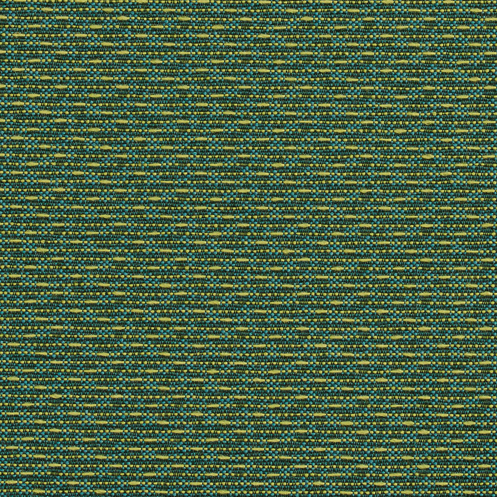 1705 Meadow by Charlotte Fabric Durables 100% Recycled Polyester Made In USA Exceeds 100,000 Wyzenbeek Rubs (Heavy Duty) No Repeat 54 Inches - Fabric Carolina -